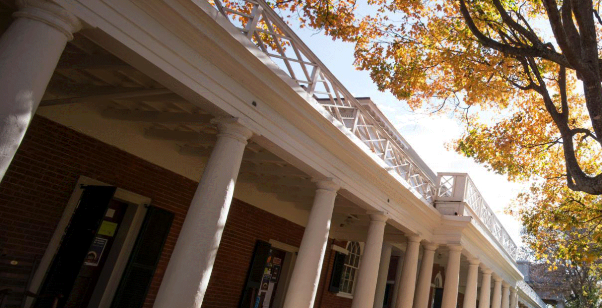 Acolonnade-style building with white columns and a brick facade as sunlight filter through a tree in background