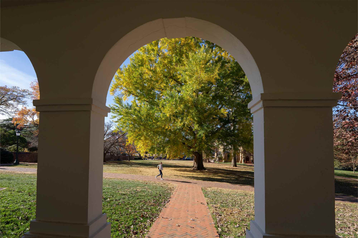 The park behind the UVA Rotunda viewed through the arched walkway.